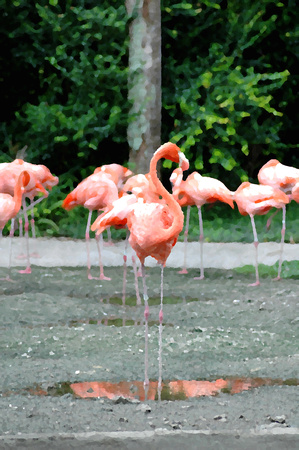 Flamingo Paint