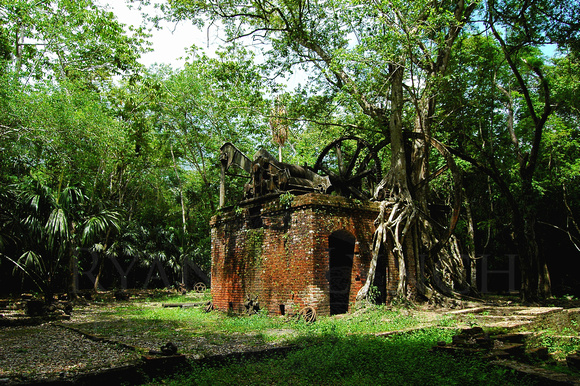 The Old Sugar Mill